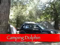 Movie Camping Dolphin